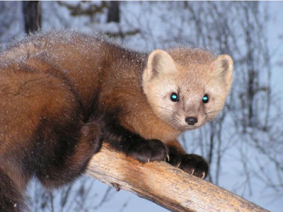 ������, ����� � ������ 2