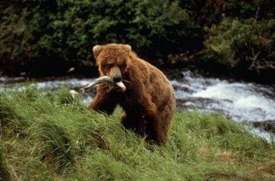 ����� ������� 2