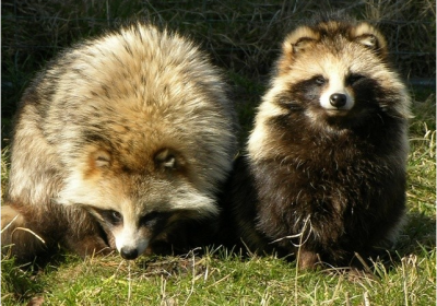 ����������� ������