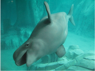 ������ ����� 2