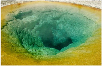 �������� � ����������