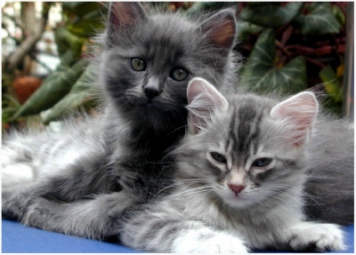 20 ��������� ������ � ������