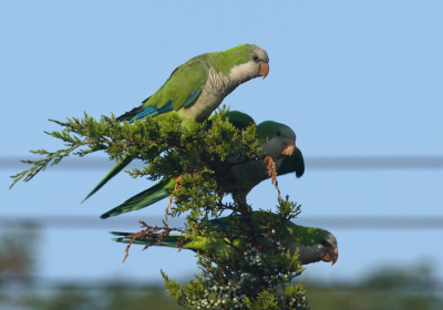 ������� ����� (������, ������) � ��������� ������������ ��������