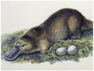 �������